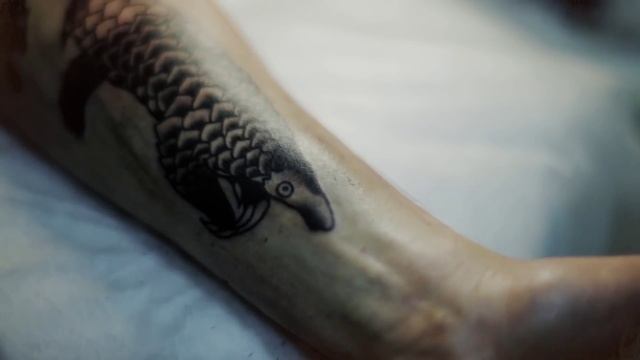 Виолетта Доморад - мастер татуировки студия Maruha смотреть онлайн