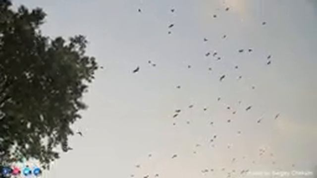 Самая красивая мелодия в мире! Красивая мелодия до слёз! Сборник лучших мелодий от Сержа Чекалина. смотреть онлайн