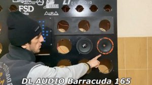 Очень громкий динамик за 1490р | DL Audio Barracuda 165 vs. Ural TT 165 | Громкая бюджетка