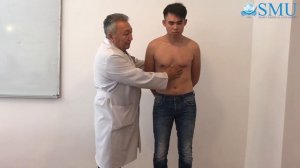 Пальпация области сердца