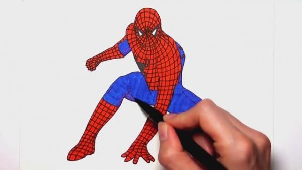 Рисуем и раскрашиваем Человека-паука - Раскраски супергероев Marvel для детей
