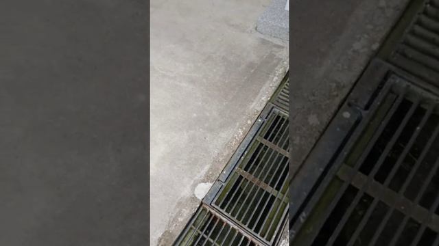 Volvo FE 300 Recycling truck смотреть онлайн