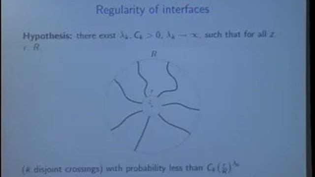 Clay Mathematics Institute 2010 Summer School - Pierre Nolin