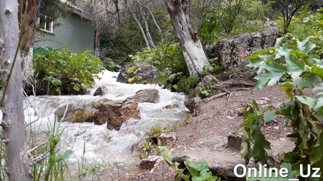 ZOMIN SHARSHARASI. ВОДОПАД смотреть онлайн