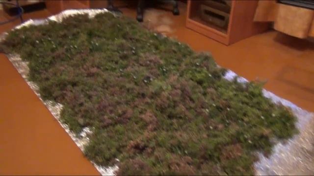 Сушим ЗОНТИКИ УКРОПА смотреть онлайн