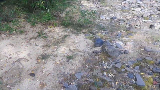 Ловля хариуса в августе на поплавок в дебрях Якутии смотреть онлайн