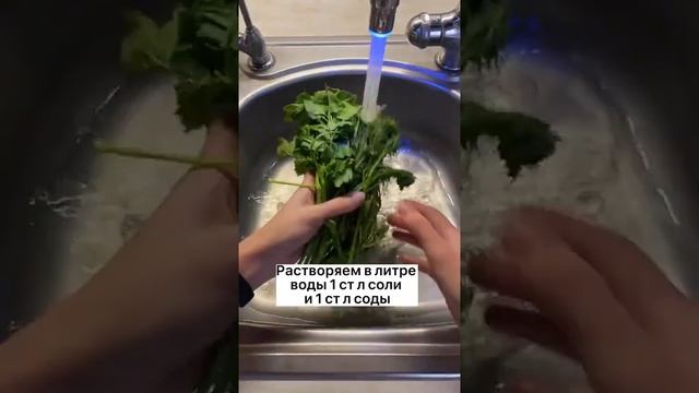 Эффективный способ очистить зелень от нитратов смотреть онлайн