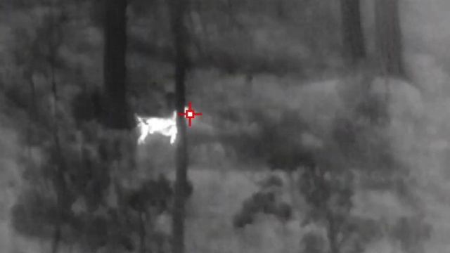 InfiRay T2 Pro Compact Thermal Camera смотреть онлайн