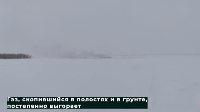 День, когда Обь потухнет 16.03.2021 смотреть онлайн