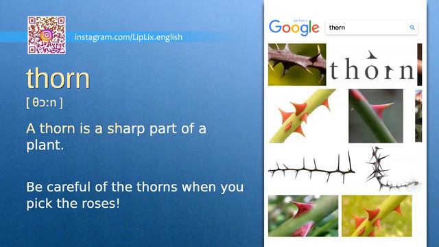 Thorn : C1 level english vocabulary lesson, www.LipLix.com смотреть онлайн