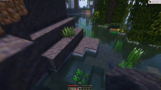 Minecraft 1.19 Wild Update | Mangrove Swamp | Best Mangrove Seed For Java смотреть онлайн