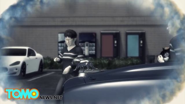 Хозяева кота привязали его к капоту автомобиля и поехали кататься по городу смотреть онлайн