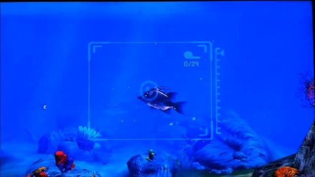 Sea Life Safari - Xbox Live Arcade Review смотреть онлайн