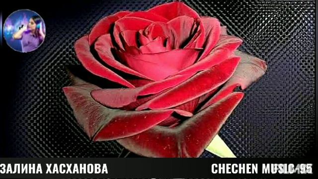 ЗАЛИНА ХАСХАНОВА-ВИЦ ЦА ЛО 🌟