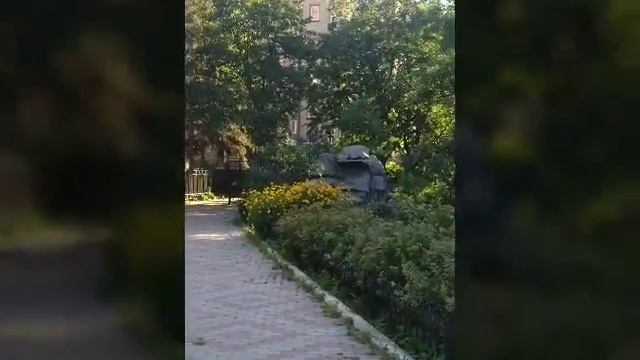 Городские цветы смотреть онлайн