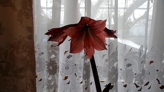 деревенское хобби смотреть онлайн