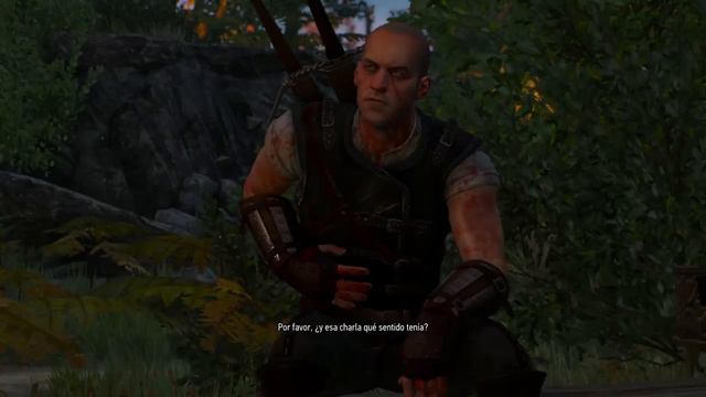 The Witcher 3 Wild Hunt - Gaetan, Brujo escuela del Gato смотреть онлайн