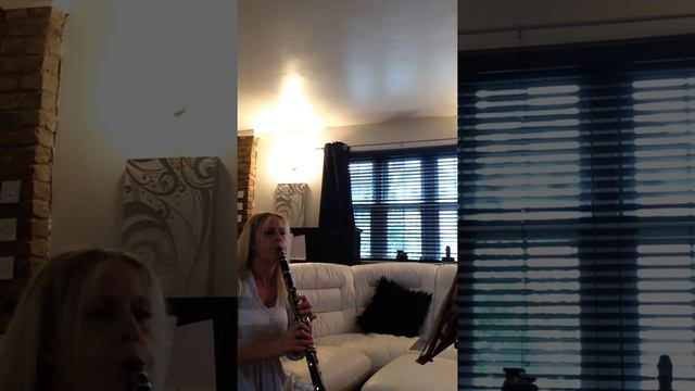Played on Clarinet - The Wind Beneath My Wings смотреть онлайн