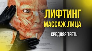 Массаж лица видеоурок, массаж средней трети лица, лифтинг массаж