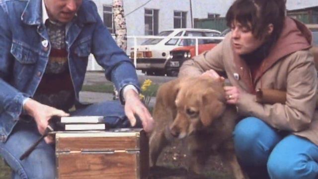 Blue Peter Time Capsules 1971 - 2000 | BBC Archive presents... смотреть онлайн