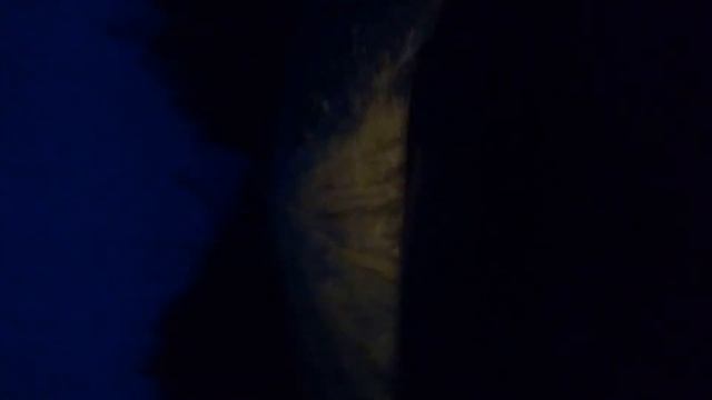 За что платим налоги, дорога до Великого Устюга! смотреть онлайн