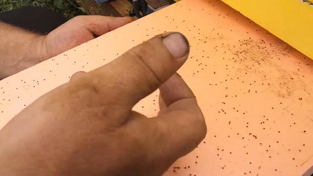 Обработка пчёл от клеща смотреть онлайн