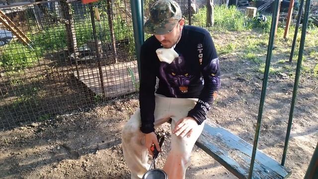 Обработка сада после цветения!!!