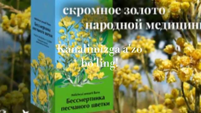 Bo`znoch (бессмертник) ning shifobahsh hususiyatlari✵♔✵Бўзноч бессмертник нинг шифобаҳш ҳусусиятлар смотреть онлайн