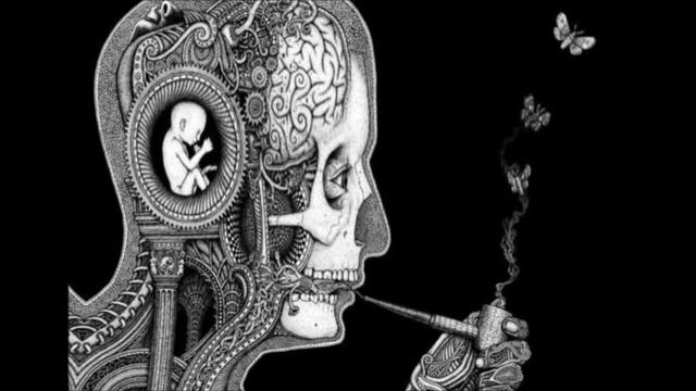 Terrence McKenna Decribes DMT Trip (rare) смотреть онлайн