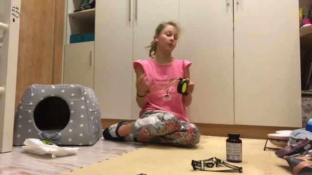 Что нужно для появления щенка Йорка в доме. И что надо будет. смотреть онлайн