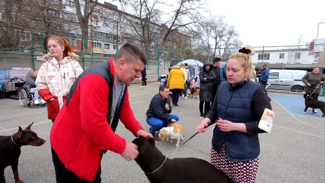 ВЫСТАВКИ 11 АПРЕЛЯ 2021 Г. ПЯТИГОРСК смотреть онлайн