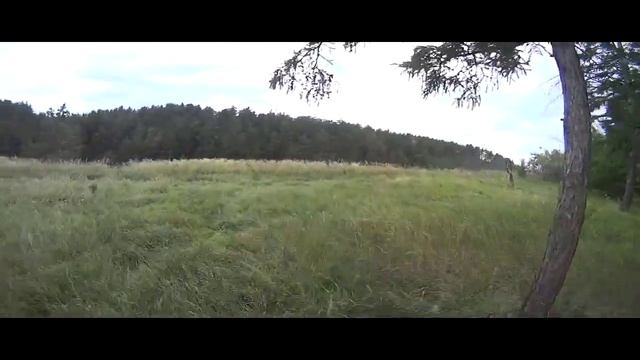 Велопргулка в Красный Яр смотреть онлайн