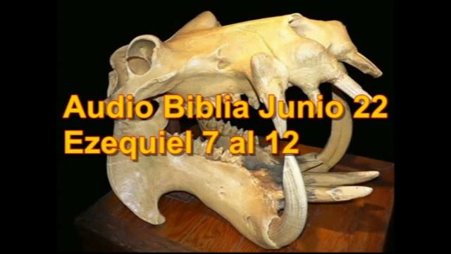 Audio Biblia Junio 22 Ezequiel 7 al 12 Salmos 106 al 110 Proverbios 22 смотреть онлайн