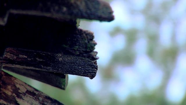 Музыка для души ! Невероятно красивая и Проникновенная музыка! Музыка Сергея Чекалина смотреть онлайн
