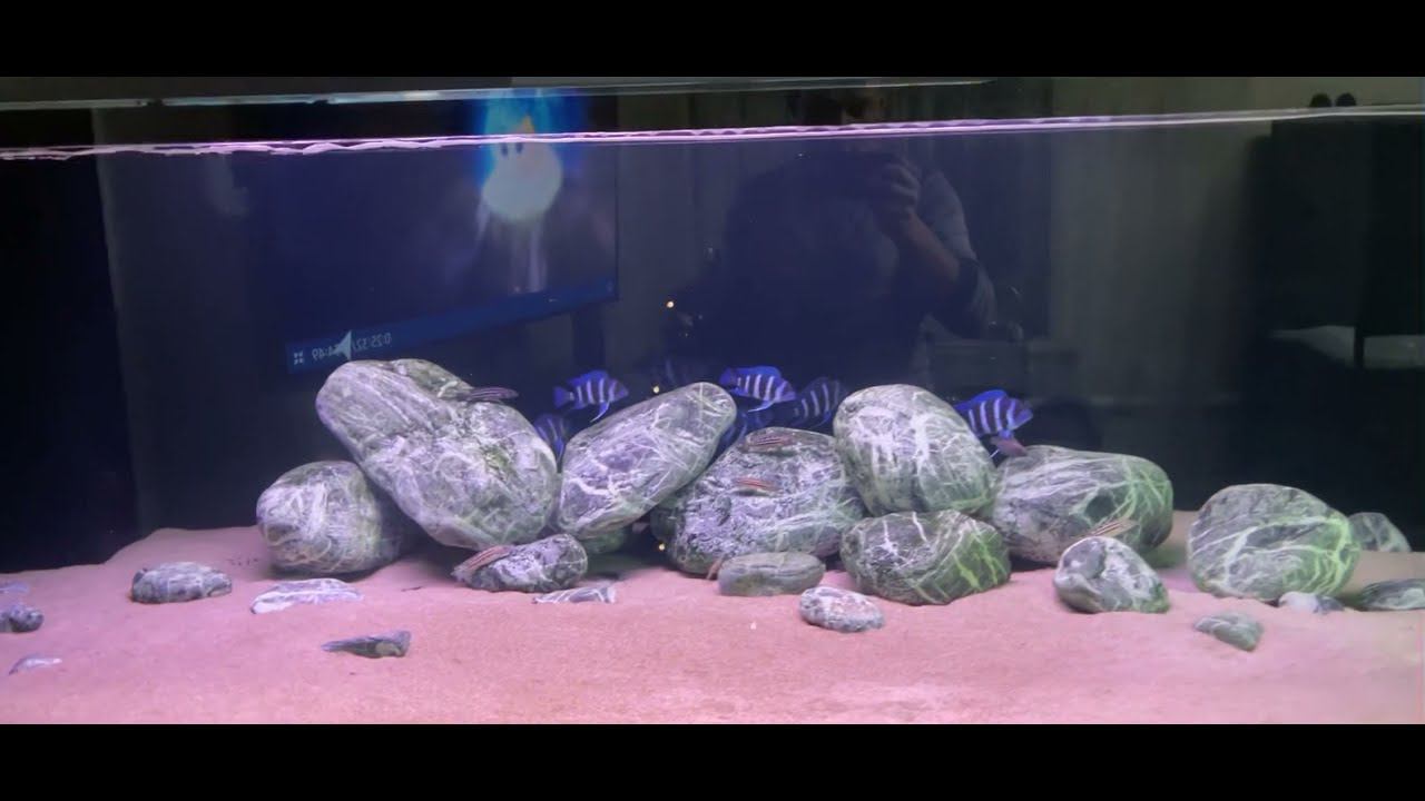 Подключение Fluval FX5 смотреть онлайн