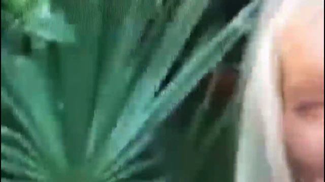 Что там у нее за спиной? Помощь зала. смотреть онлайн
