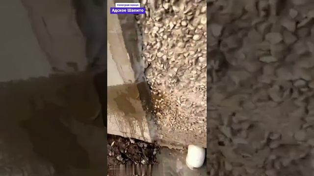 Приспичило)
