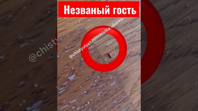 Незваный гость хуже ТАТАРИНА????? смотреть онлайн