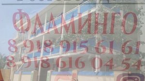 Ольгинка/ Улица Морская. Гостевые дома и отели - штендеры
