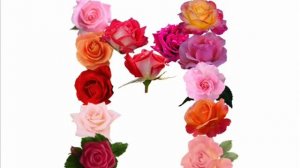 Мама, я тебя люблю!