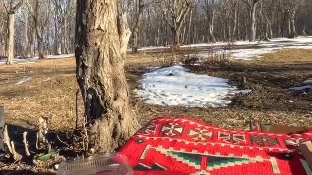 Сочные рибай на углях смотреть онлайн