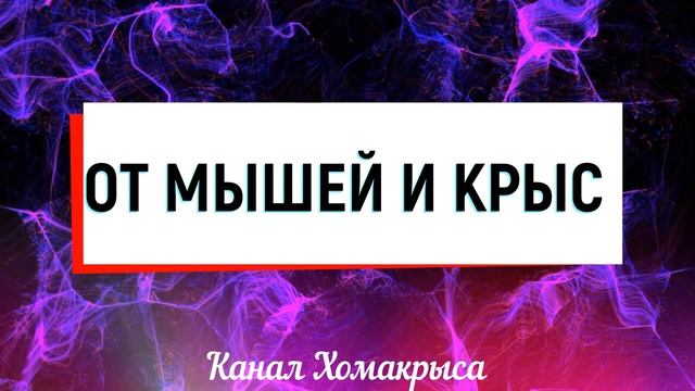 Ультразвук от мышей и крыс Эффективный отпугиватель грызунов Как избавиться от мышей и крыс навсегд смотреть онлайн
