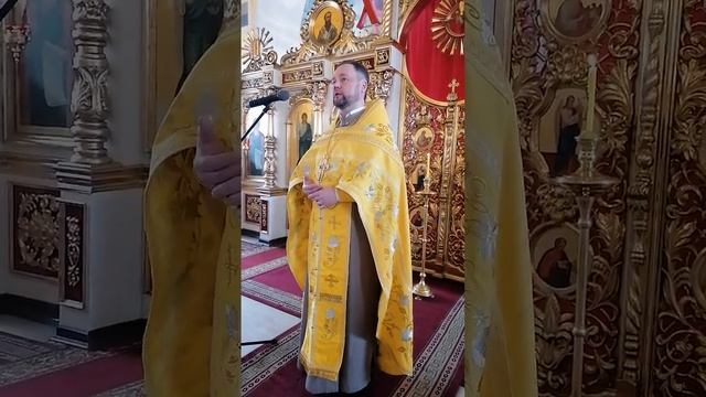 Проповедь протоиерея Александра Филиппова в Неделю о блудном сыне 12 февраля 2023 года смотреть онлайн