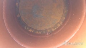 Как покрасить бочку изнутри и другие дачные вопросы. 07.04.20.