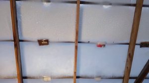 Поликарбонат или плёнка для теплицы?