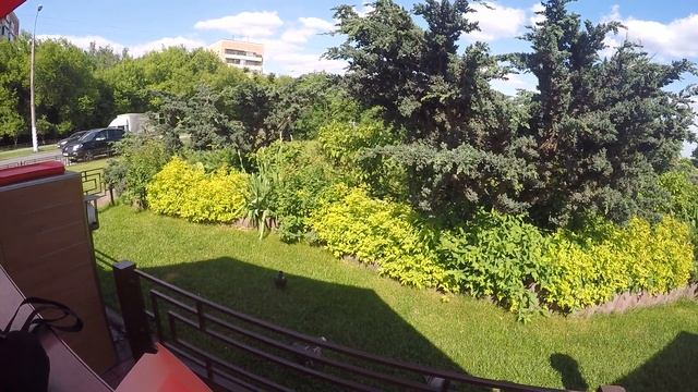 птицы, Кормление птиц из рук 01/06/2016 г. GOPR0215