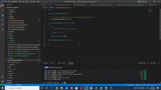laravel migration --seed and --pretend flags смотреть онлайн