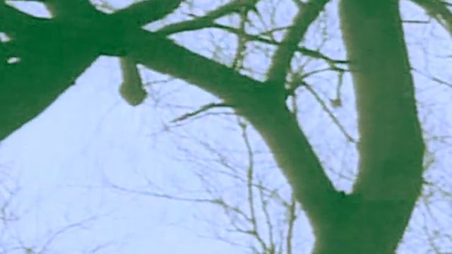 Мегаполис 