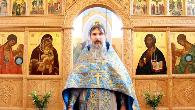 "О наших прикровенных встречах с Богом". Сретение Господне 2024. смотреть онлайн