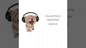 Плейлист Пошлая Молли|speed up